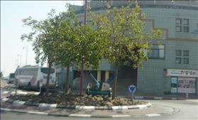 מרכז מסחרי בנצרת עילית. צילום: Almog, wikipedia