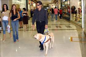 אדם עיוור עם כלב נחייה בברזיל. צילום: Antonio Cruz/Abr, wikipedia