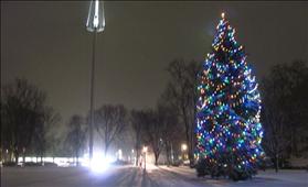 עץ חג מולד בלקסינגטון, מסצ'וסטס בארה''ב. צילום: John Phelan, wikipedia