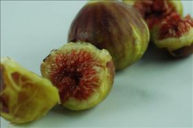תאנים. צילום: Shirde, flickr תאנים. צילום: Shirde, flickr