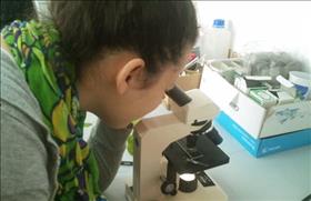 תלמידה במעבדה בביולוגיה בתיכון הראל במבשרת ציון. צילום: בית ספר תיכון הראל, flickr