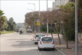 רחוב בישוב חריש שבמקומו מוקמת עתה עיר חרדית. 14032010 צילום גיל יערי פלאש 90.jpg רחוב בישוב חריש שבמקומו מוקמת עתה עיר חרדית. 14032010 צילום גיל יערי פלאש 90.jpg