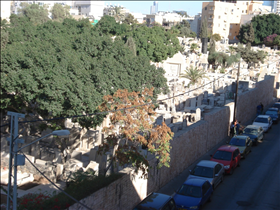תמונה:בית הקברות טרומפלדור בתל אביב (תמונת אילוסטרציה. לחברה קדישא תל אביב אין קשר לפרשה). צילום: alonuziel, flickr תמונה:בית הקברות טרומפלדור בתל אביב (תמונת אילוסטרציה. לחברה קדישא תל אביב אין קשר לפרשה). צילום: alonuziel, flickr
