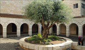 חצר כנסיית הלחם והדגים בטבחה. צילום: David Shankbone, wikipedia חצר כנסיית הלחם והדגים בטבחה. צילום: David Shankbone, wikipedia